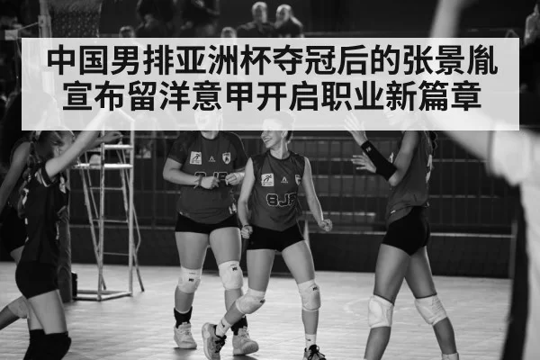Italian volleyball league match